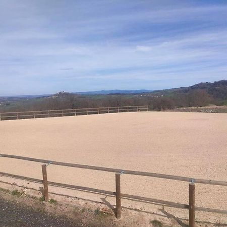 Gite La Roche Paisible Saint-Julien-de-Coppel Eksteriør bilde