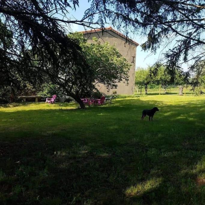 Gite La Roche Paisible Saint-Julien-de-Coppel Eksteriør bilde